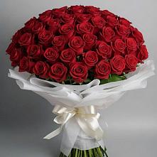 Букет 101 Красная роза Блэк Мэджик в Гизель