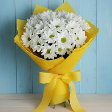 Букет цветов из:  Хризантемы в Гизель