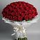 Букет 101 Красная роза Блэк Мэджик в Гизель