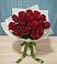 Букет Красные розы в Гизель