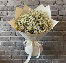 Букет цветов из:  Ромашки #REPLACE_PRED# Гизель
