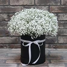 Цветочная композиция из Гипсофила в шляпной коробке #REPLACE_PRED# Гизель