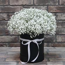 Цветочная композиция из Гипсофила в шляпной коробке в Гизель