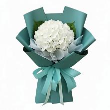 Букет цветов из:  Гортензия в Гизель